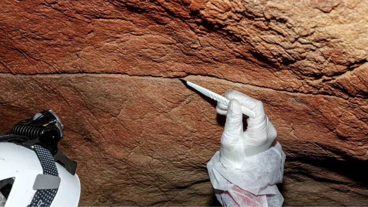 Arkeolojik Devrim: Mağara Duvarlarında Binlerce Yıllık İnsan DNA'sı Bulundu!