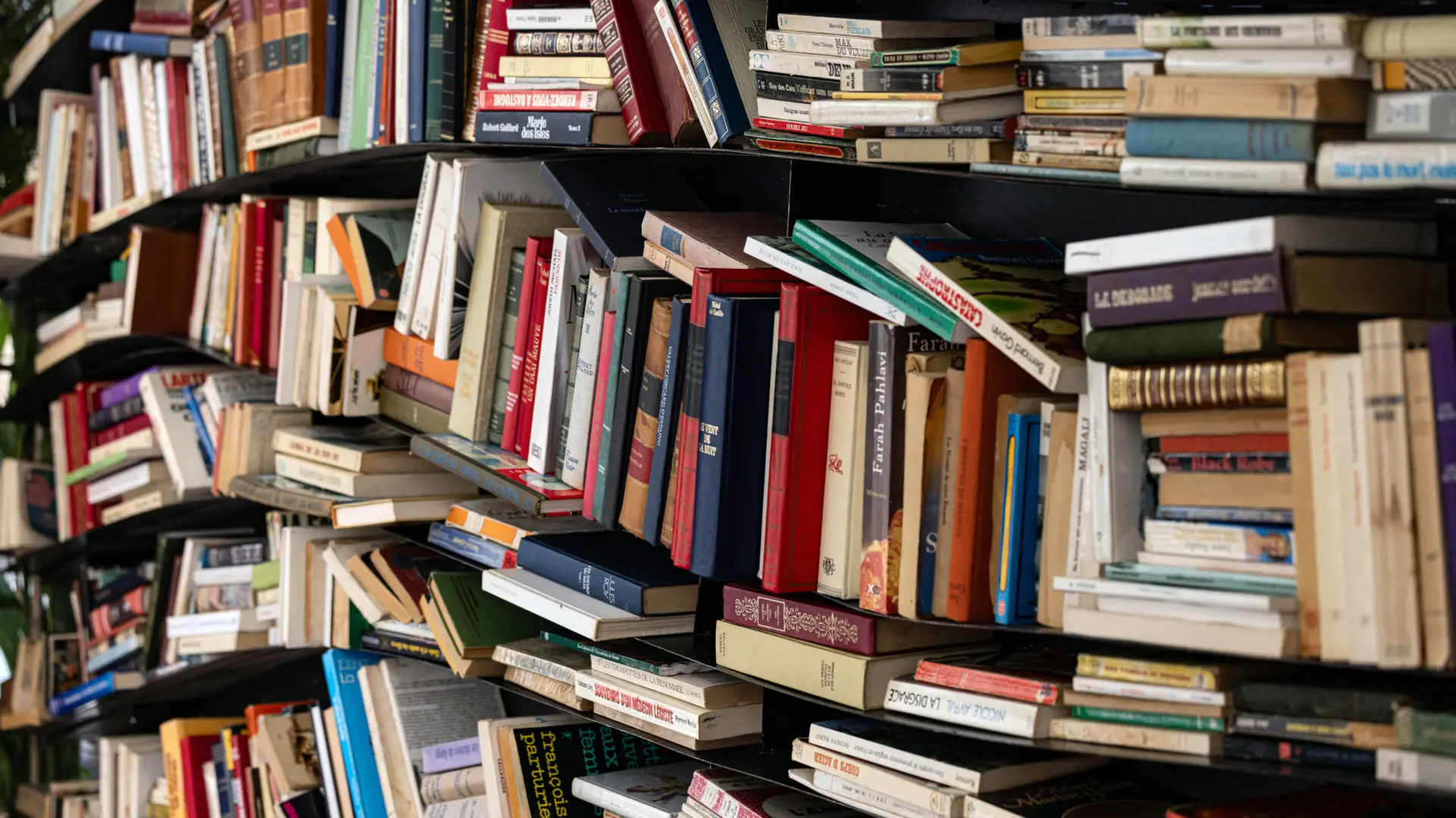 Yapay Zeka Şirketleri Milyonlarca Kitabı 'Yutuyor': Eğitim Verisi İçin Kütüphaneler Boşalıyor mu?