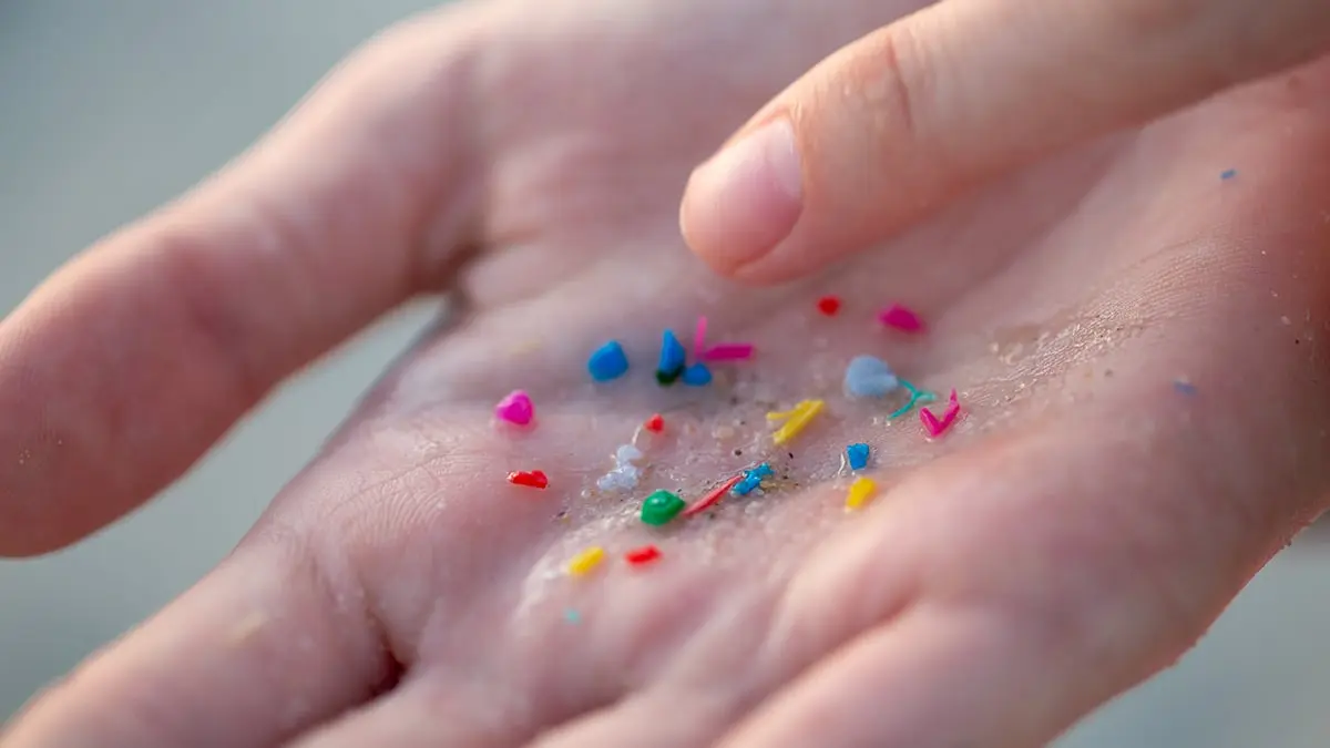 Bilim İnsanlarından Şok Gelişme: Her Damarda Mikroplastik Tespit Edildi!