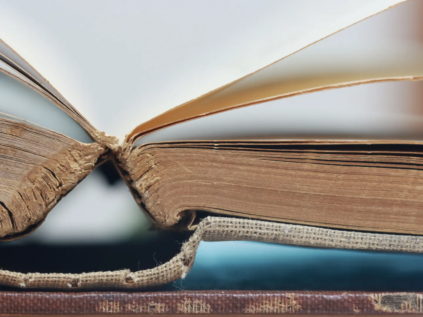 Yapay Zeka Eğitimi İçin Milyonlarca Kitap Yok Ediliyor: Bir İz Takibi Gerçeği Ortaya Çıkardı