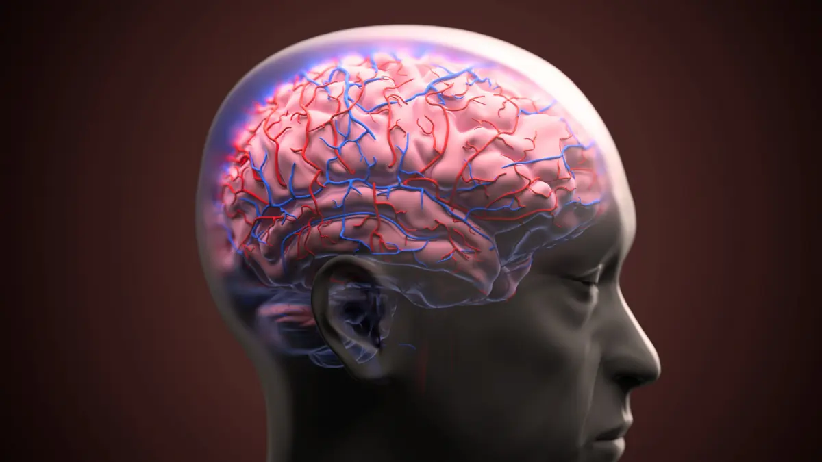 Alzheimer'da Beyin-Kan Bariyeri Hasarı Çözülüyor: 'Onarım Ekibinin' Gizli Rolü Ortaya Çıktı