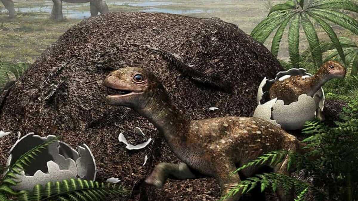 Dinozorlar Soğuk Bölgelerde Hayatta Kalmak İçin Yumurta İnkübatörleri mi Geliştirdi?