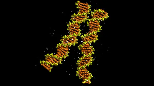 DNA'nın Kilitlenme Anı İlk Kez Görüntülendi: 20 Yıllık Tahmin Doğrulandı!